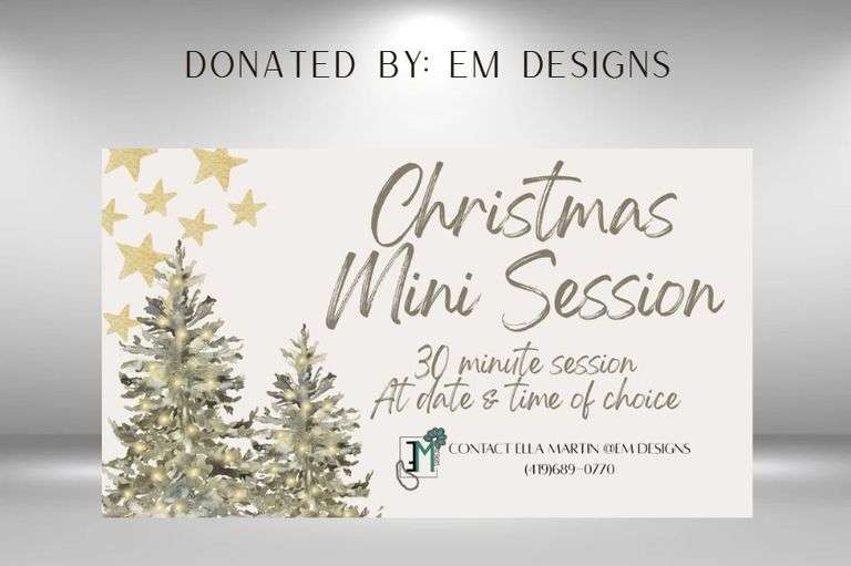 Christmas Mini Photo Session