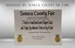 Entertainment Package Certificate