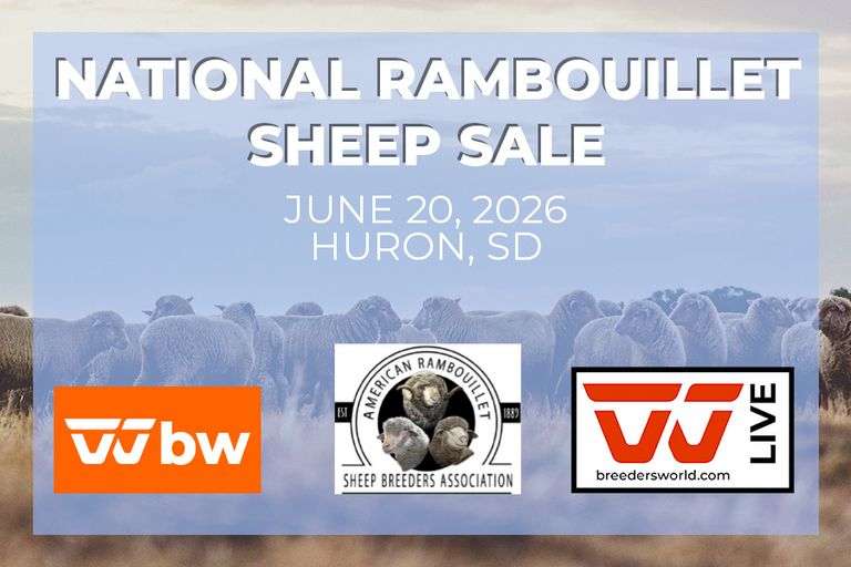 National Rambouillet Sheep Sale - June 20, 2026 - Huron, SD