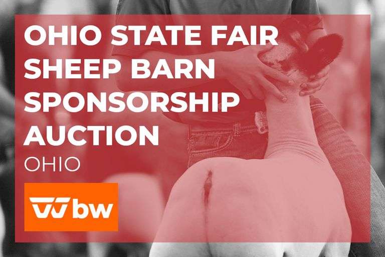 Broadcast rotating ad. Mkt Lamb Showmanship & Commercial Ewe Show