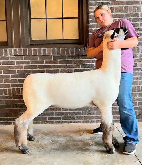 Double “A” Oxfords