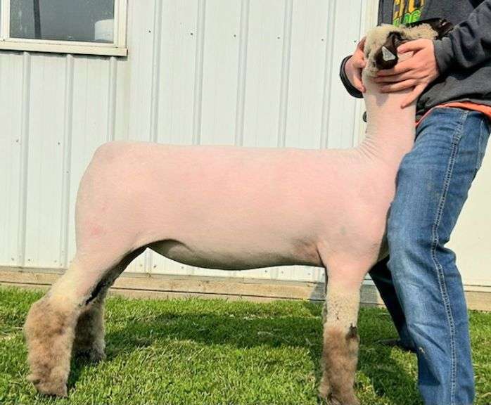 Double “A” Oxfords