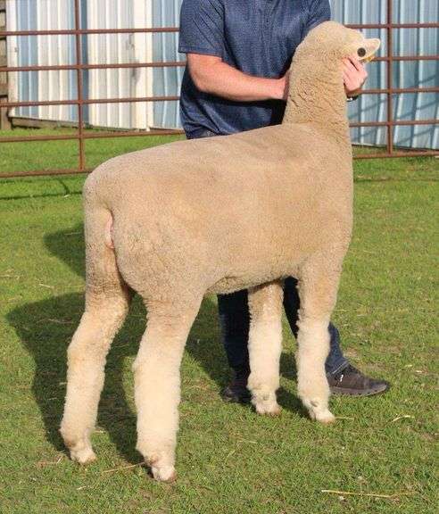 Isaiah Bauck (Dew Drop Farms)