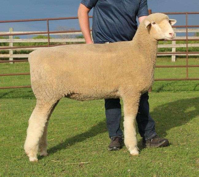 Isaiah Bauck (Dew Drop Farms)