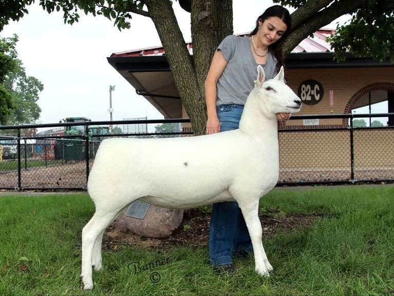 Diamond C Farm-David Clyde