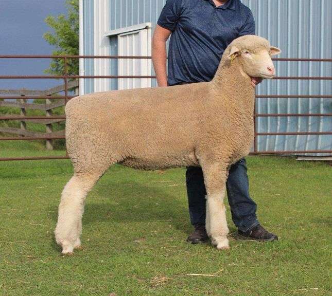 Isaiah Bauck (Dew Drop Farms)