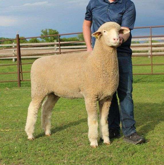 Isaiah Bauck (Dew Drop Farms)