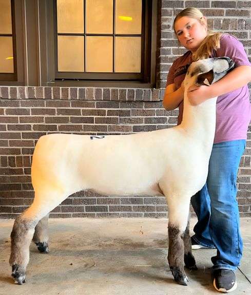 Double “A” Oxfords