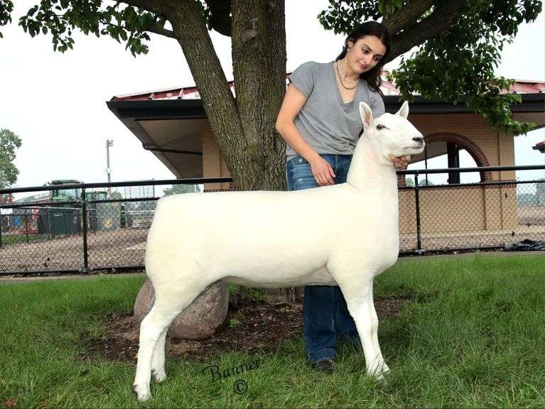 Diamond C Farm-David Clyde