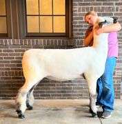 Double “A” Oxfords