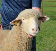 Isaiah Bauck (Dew Drop Farms)