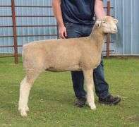 Isaiah Bauck (Dew Drop Farms)