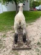 Weber Livestock Company