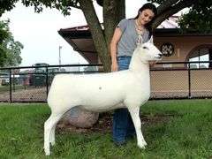 Diamond C Farm-David Clyde