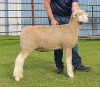 Isaiah Bauck (Dew Drop Farms)