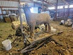 Triple C Sheep Co
