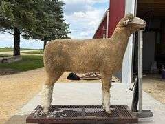 Little Rock Creek Lamb & Wool