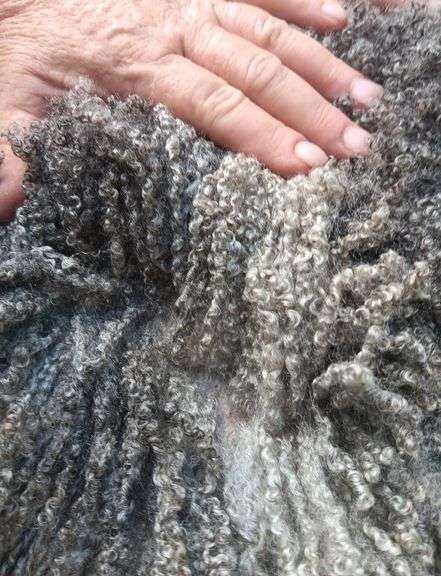 Granite State Sheep Company