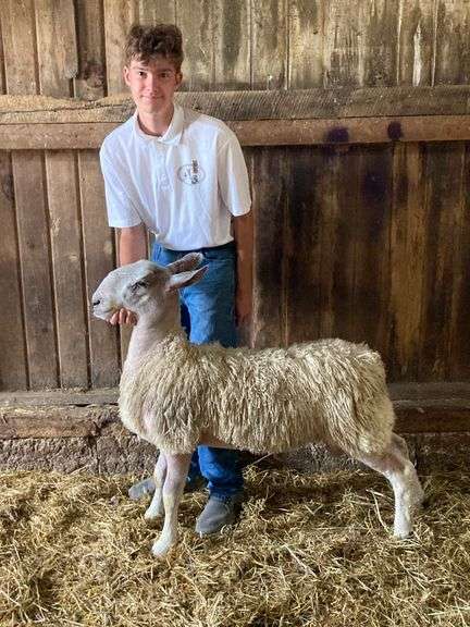 Ashton Homestead LLC