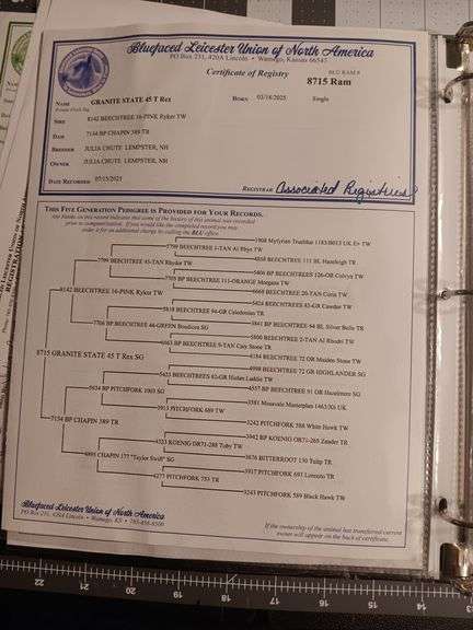 Granite State Sheep Company