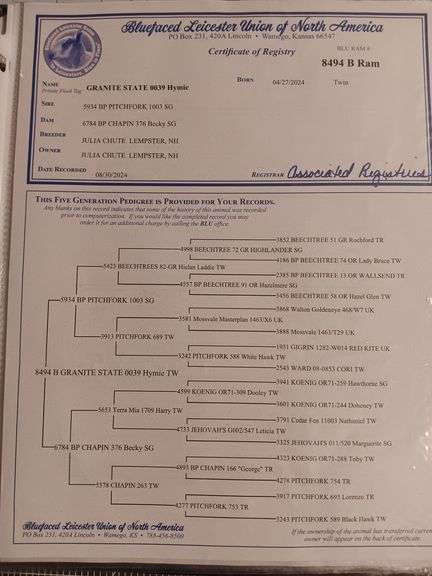 Granite State Sheep Company