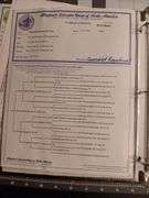 Granite State Sheep Company