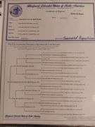 Granite State Sheep Company