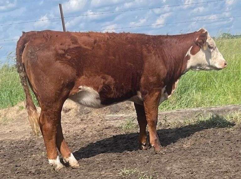 SSR MISS 230Z VALIDATED 426