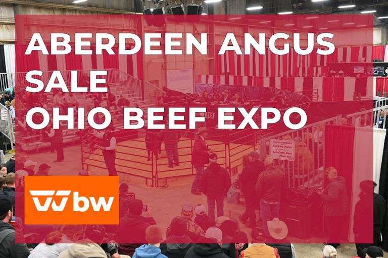 Aberdeen Advantage Sale- Ohio Beef Expo Friday March 20th 4:00pm