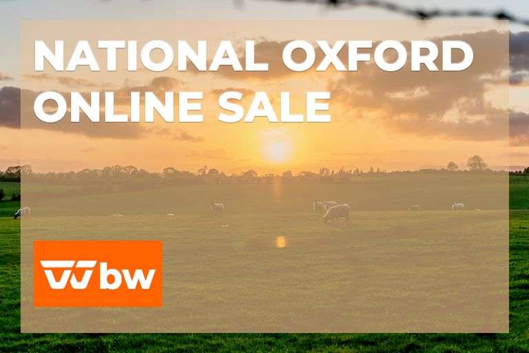 2026 National Oxford Online Sale