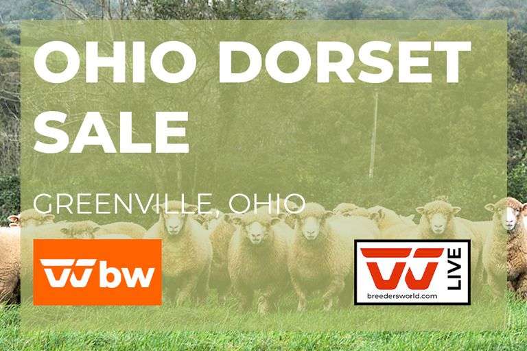 Ohio Dorset Sale - LIVE - March 21st 10:00am EST