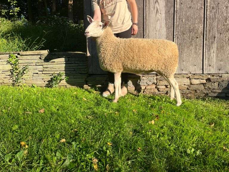 Riverside Farm