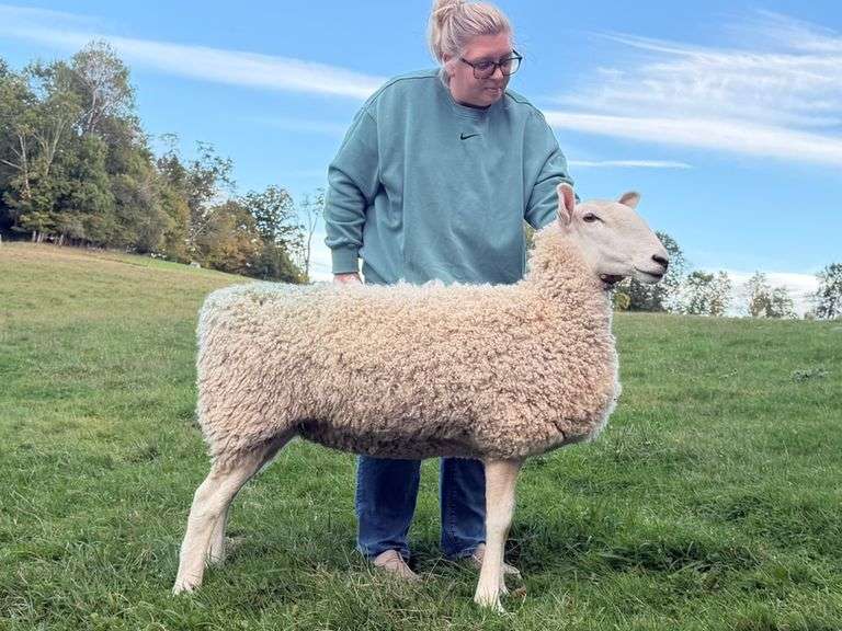 Orchard Valley Farm
