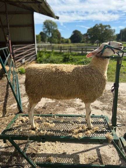 Kurth Farms