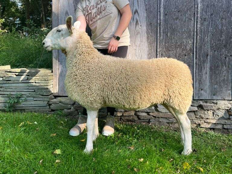 Riverside Farm