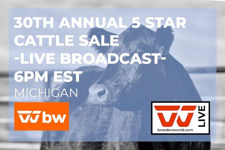 30th Annual Five Star Cattle Sale - LIVE BROADCAST - September 26, 2026