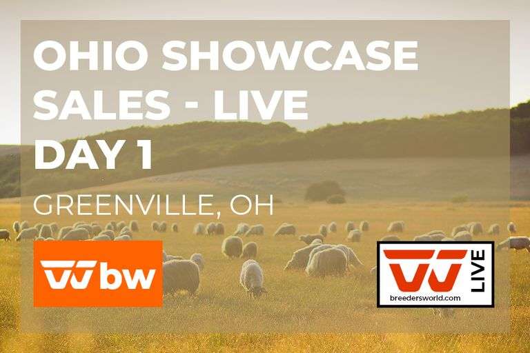 Ohio Showcase Sales - DAY 1 - LIVE - May 8th