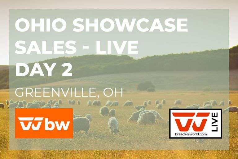 Ohio Showcase Sales - DAY 2 - LIVE- May 9th