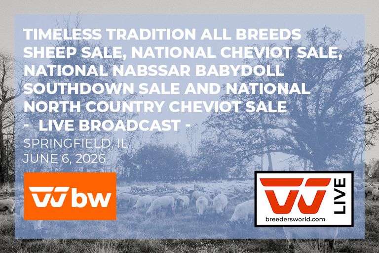 Timeless Tradition All Breeds Sheep Sale, National Cheviot Sale, National NABSSAR Babydoll Southdown Sale and National North Country Cheviot Sale  - LIVE BROADCAST 