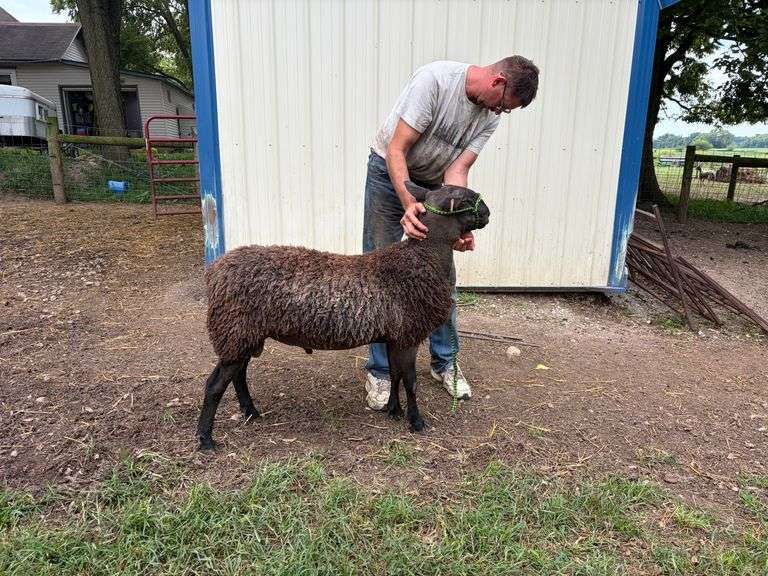 Ashton Homestead LLC